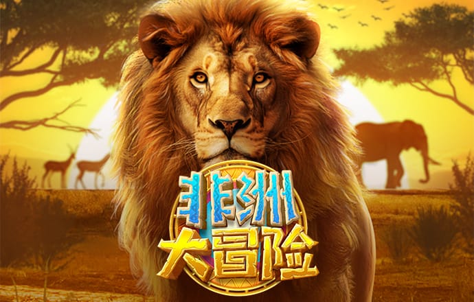 多多28官网官方正版链接