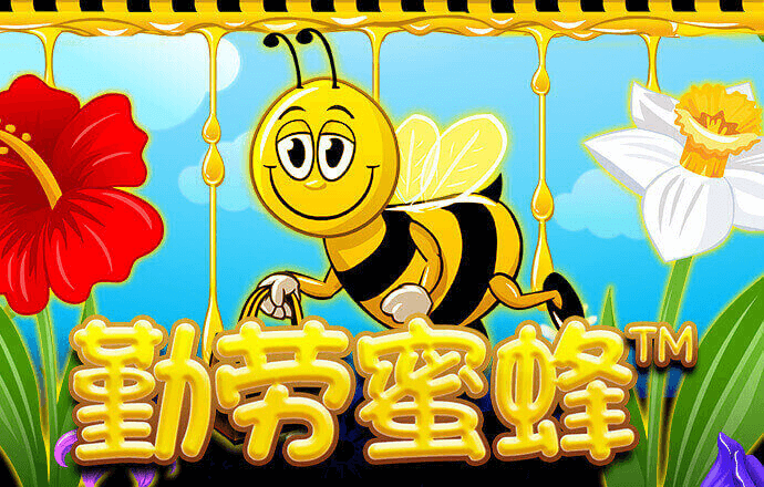 2024澳门原料网大全